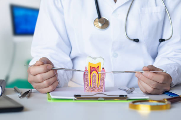 Best Emergency Dental Care for Broken or Chipped Teeth in Greenville, VA
